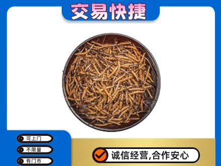 无锡市梁溪高价回收散虫草